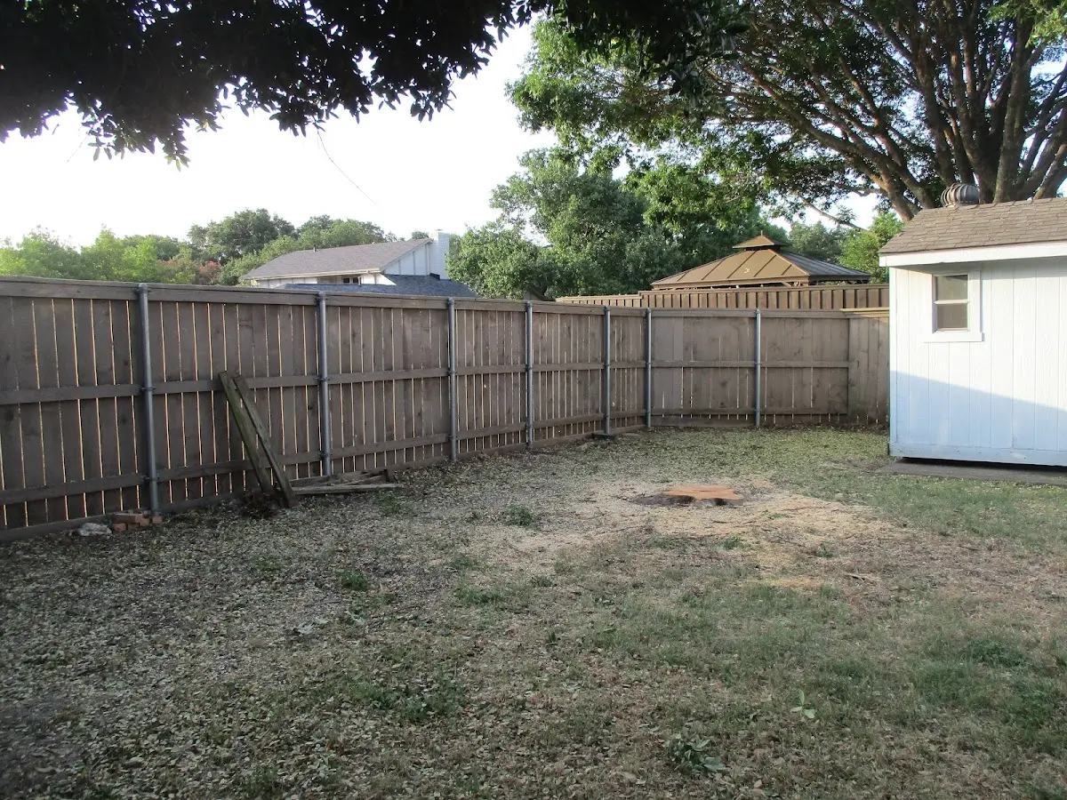 Cleared yard after professional tree removal in Falkville