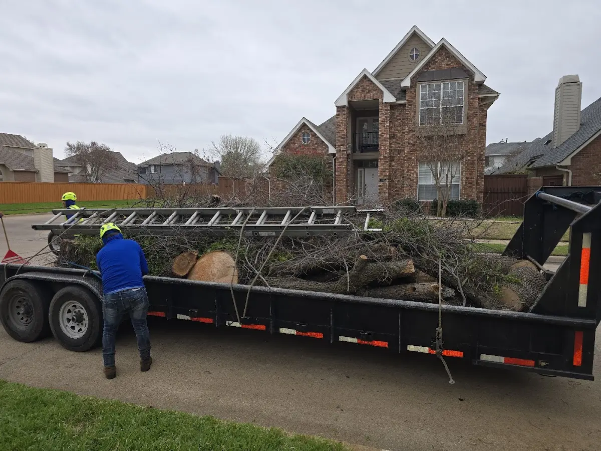 Expert Lot Clearing with proper safety equipment in Falkville